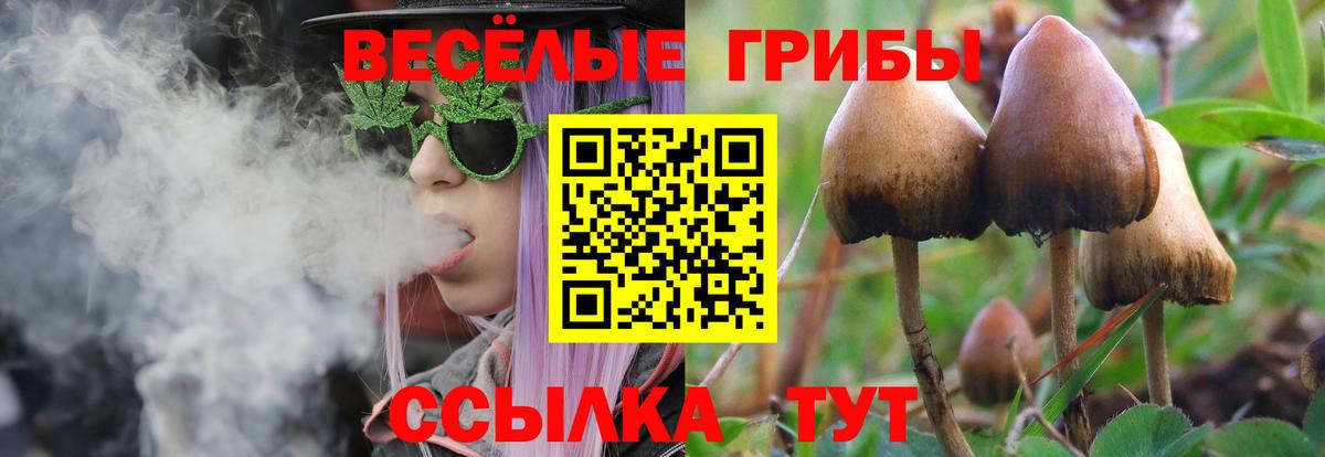Галлюциногенные грибы мицелий Дмитров